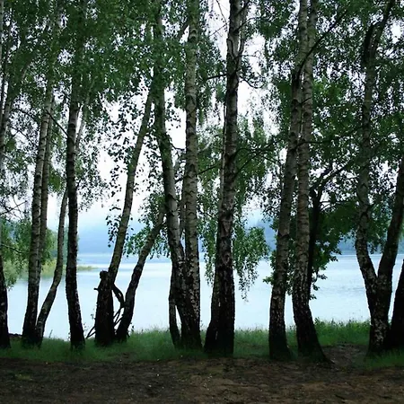 In Lokve, Croatia 47707 Holiday home