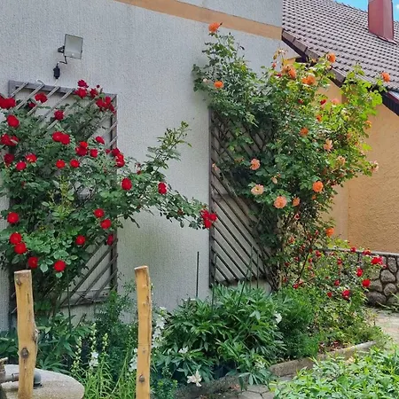 Holiday home In Lokve, Croatia 47707