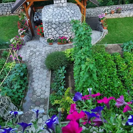 In Lokve, Croatia 47707